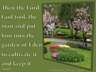 Genesis 2:15 Cultivate And Keep The Garden (green)